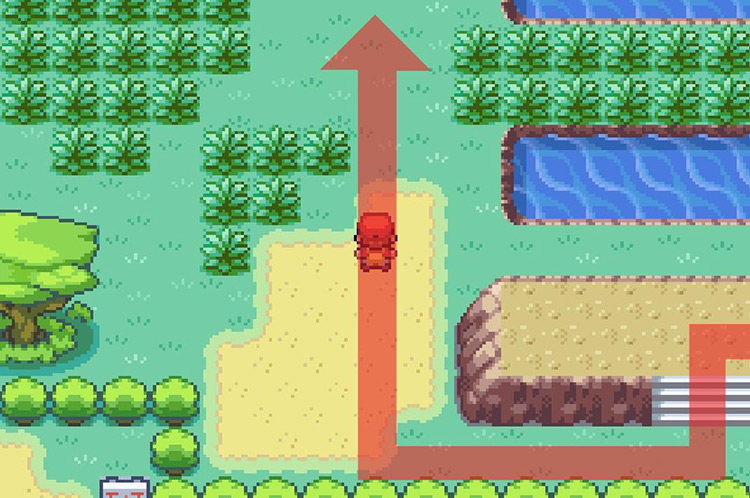 Head north past the body of water to your right / Pokémon FireRed & LeafGreen