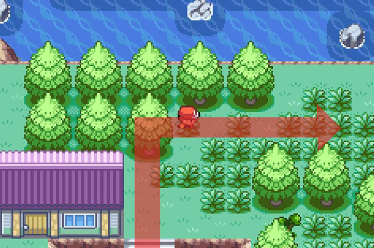 Continue northeast through the tall grass on Five Island / Pokémon FRLG
