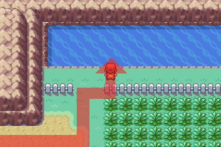Use Surf on the body of water on Route 9 / Pokémon FRLG