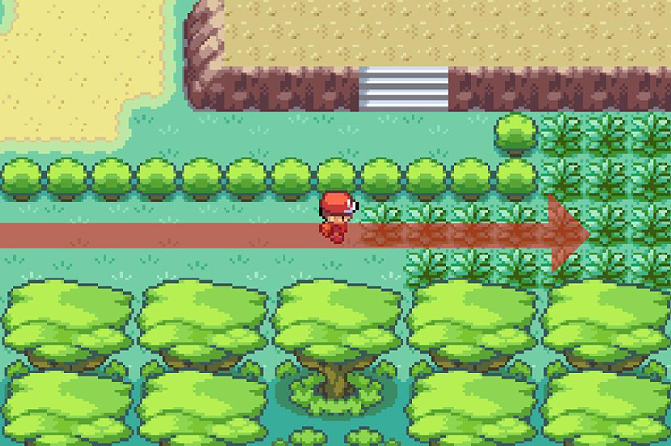 Continue east through the tall grass in Area 2 / Pokémon FRLG