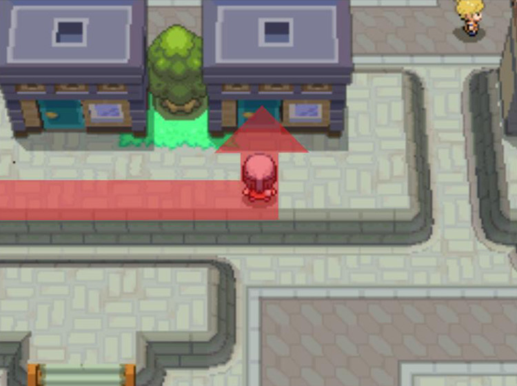 Entering the house where the performance artists stay / Pokémon Platinum