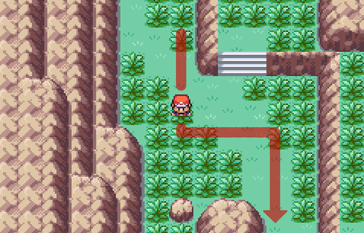 Continuing south on Ruin Valley, ignoring the first set of stairs and taking the right-side path / Pokémon FRLG