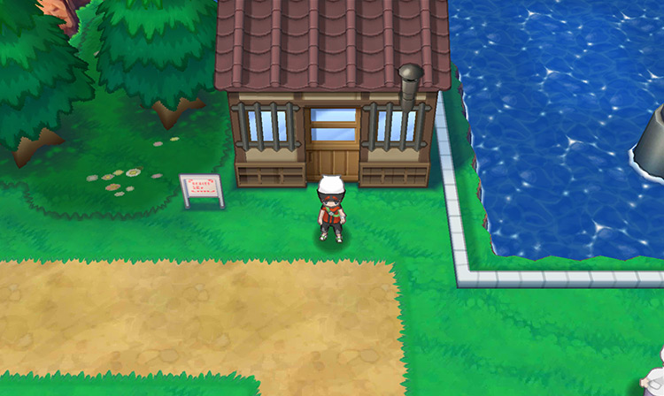 Standing outside the Trick House / Pokémon ORAS