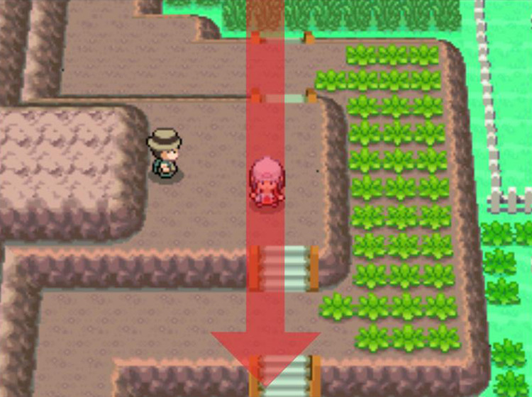 Sticking to the staircases while moving south / Pokémon Platinum