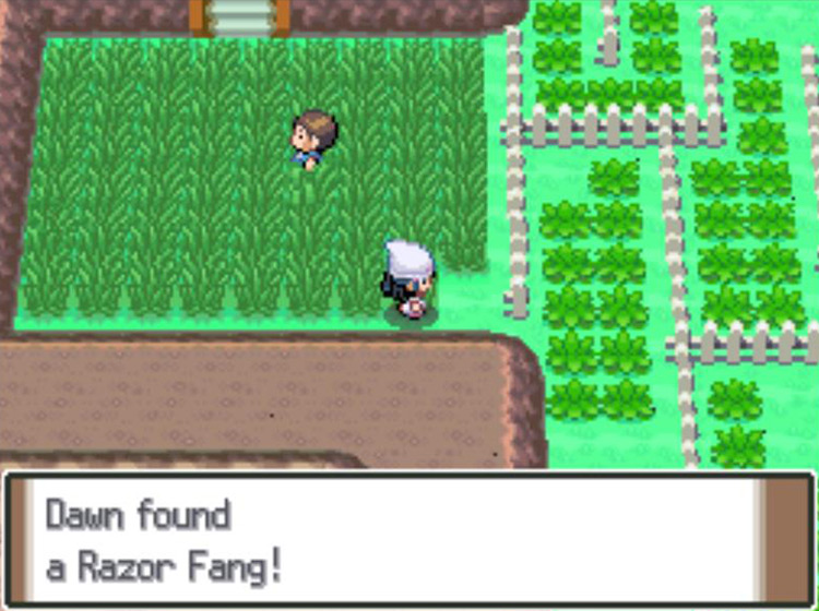 Obtaining the hidden Razor Fang on Route 214 / Pokémon Platinum