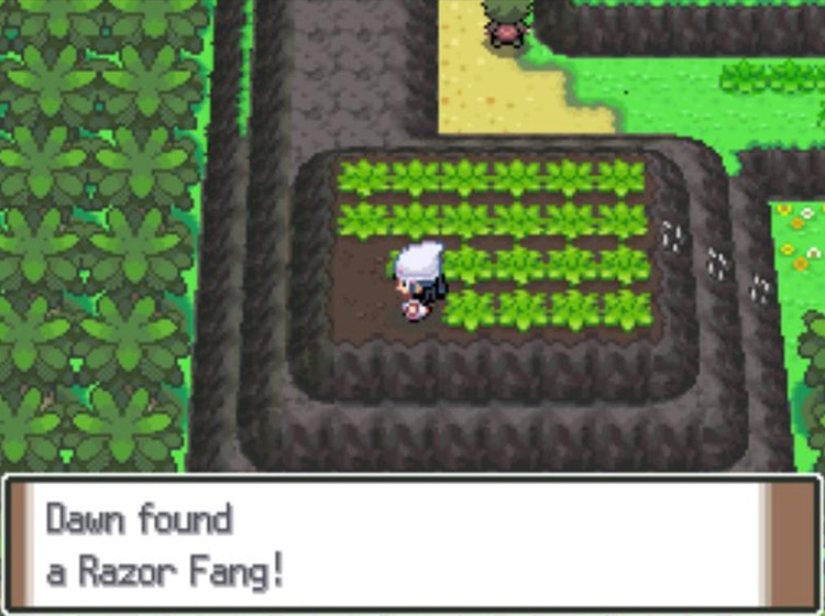 Obtaining the second Razor Fang / Pokémon Platinum