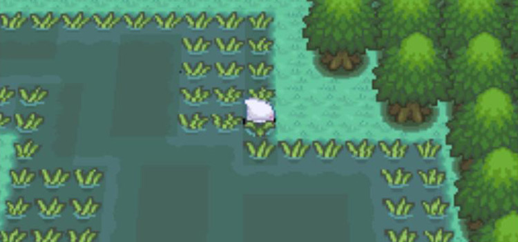 Area 6 of the Great Marsh in Pokémon Platinum