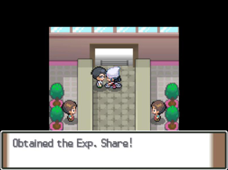Receiving an Exp. Share from Professor Rowan’s assistant / Pokémon Platinum