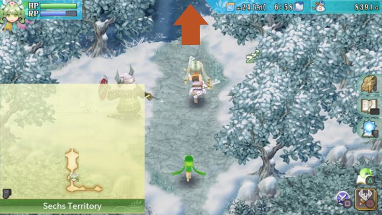 A small area by the entrance of the Sechs Territory / Rune Factory 4