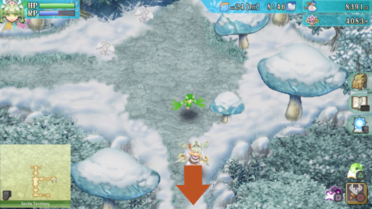 A path in the Sechs Territory with giant frozen mushrooms / Rune Factory 4