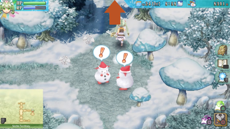A path along the Sechs Territory with giant frozen mushrooms / Rune Factory 4