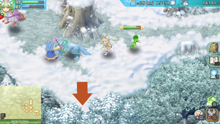 An area of the Sechs Territory with a giant stump in the center / Rune Factory 4