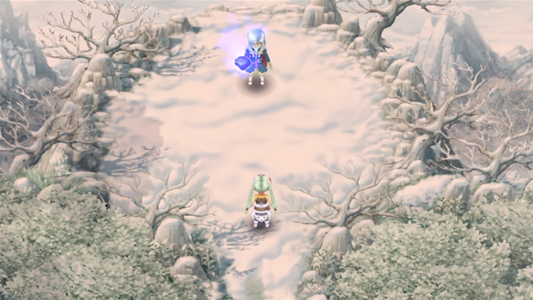 The boss area of the Sechs Territory / Rune Factory 4