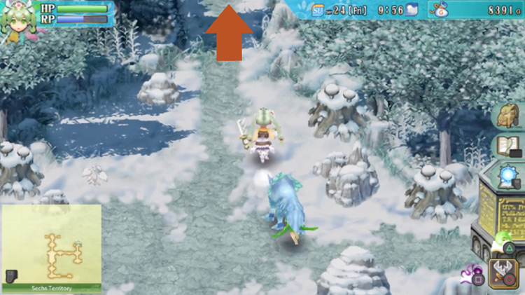 An area of the Sechs Territory with a yellow pillar blocking the path in the east / Rune Factory 4