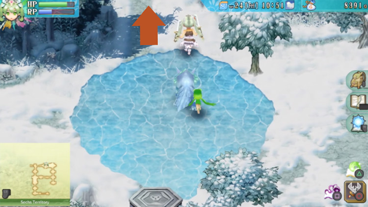 An area in the Sechs Territory with a frozen pond / Rune Factory 4