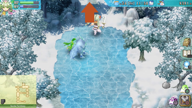 A long path over a frozen pond in the Sechs Territory / Rune Factory 4