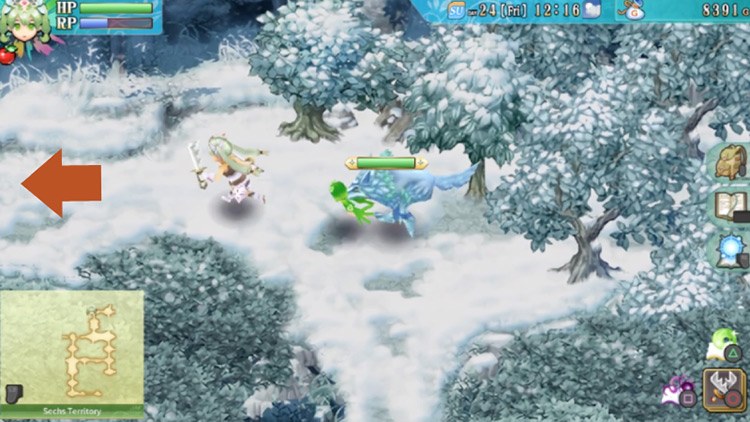 An area of the Sechs Territory with a thicket of trees on the right / Rune Factory 4