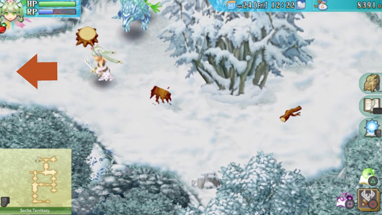 A small area of the Sechs Territory with a clump of trees in the center / Rune Factory 4