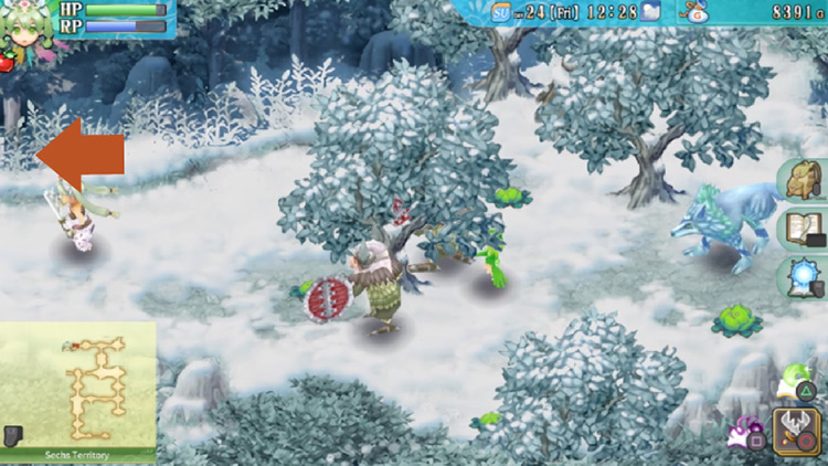 A stretch along the Sechs Territory with carnivorous plants sprouting all over / Rune Factory 4