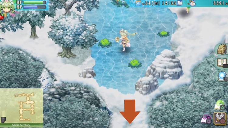 A frozen pond in the Sechs Territory with carnivorous plants sprouting over it / Rune Factory 4