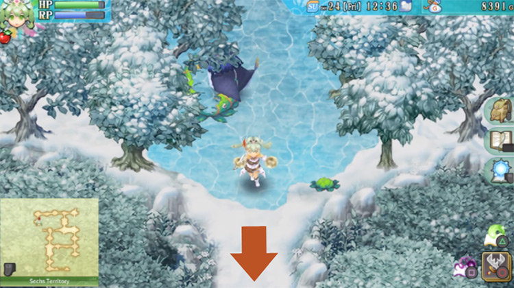A large frozen pond covering an entire area of the Sechs Territory / Rune Factory 4
