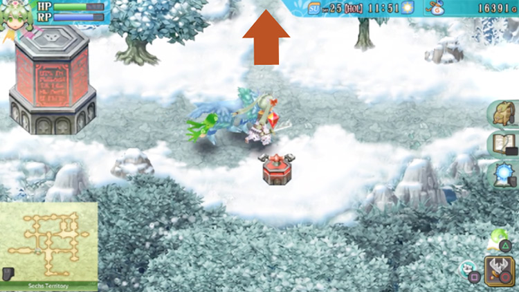 An area of the Sechs Territory with a red switch / Rune Factory 4