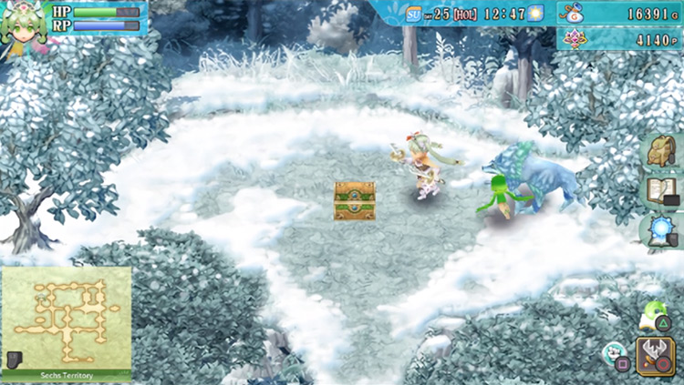 A treasure chest containing Magical Potions in the Sechs Territory / Rune Factory 4
