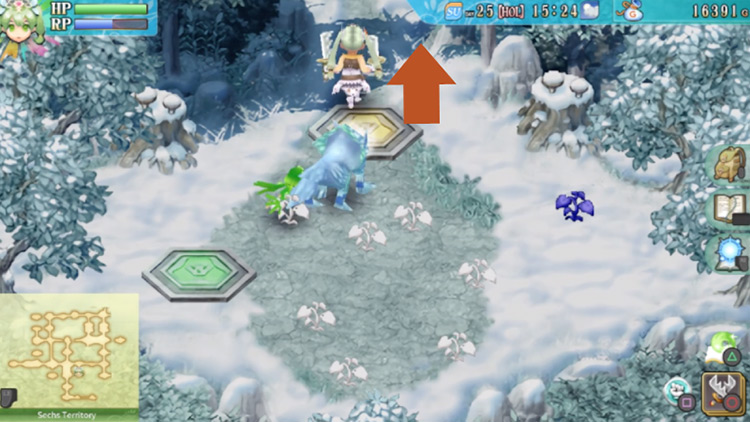 A small area where white grass grows in the Sechs Territory / Rune Factory 4