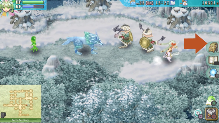 A short path in the Sechs Territory / Rune Factory 4