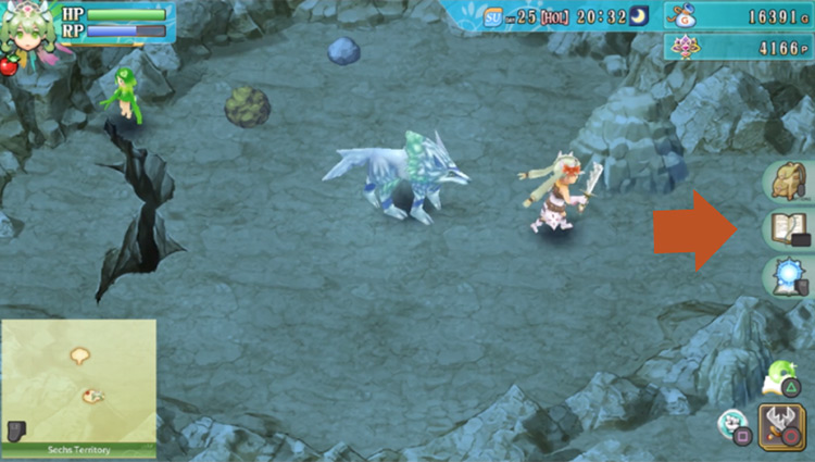 An area underneath the hole of the cave in the Sechs Territory / Rune Factory 4