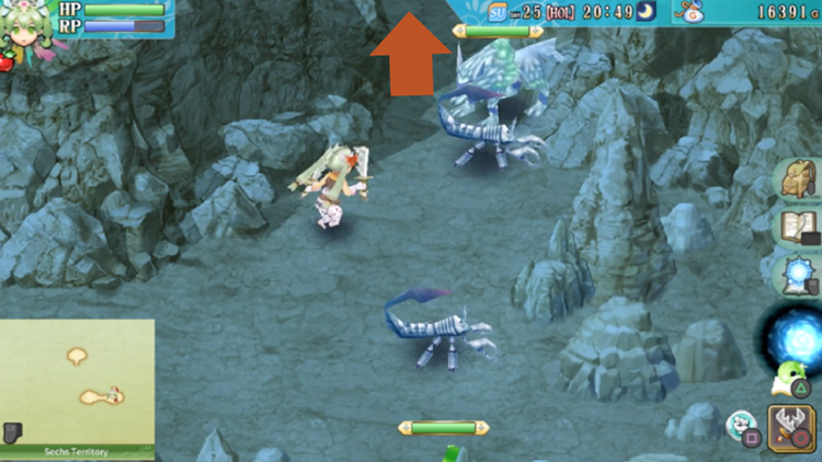 A small area in the cave of the Sechs Territory with a frozen gate behind a wall of boulders / Rune Factory 4