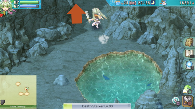 A small pond in a cave located in the Sechs Territory / Rune Factory 4