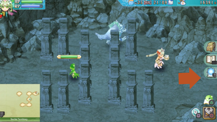 The entrance to the Sechs Territory / Rune Factory 4