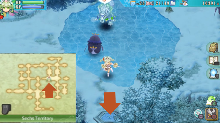 A path south of the frozen pond in the Sechs Territory / Rune Factory 4