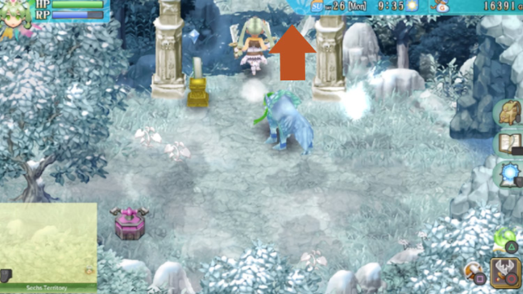 An area with a portal to the entrance of the Sechs Territory / Rune Factory 4