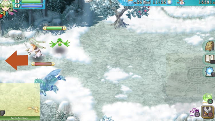 A long stretch along the second section of the Sechs Territory / Rune Factory 4