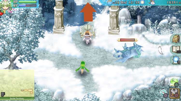 A small clearing in the Sechs Territory / Rune Factory 4