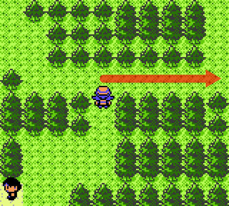 Traveling through the Sudowoodo hole on Route 36 / Pokémon Crystal