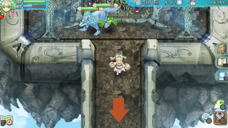 A path heading south in the mini-boss room of the Floating Empire South / Rune Factory 4