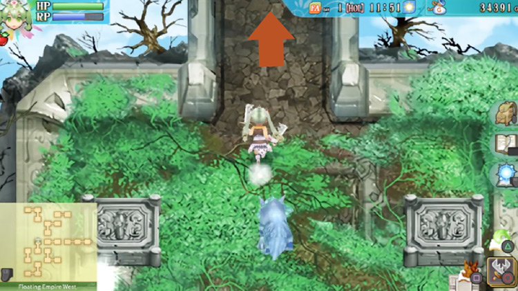 A path heading north in the Floating Empire West / Rune Factory 4
