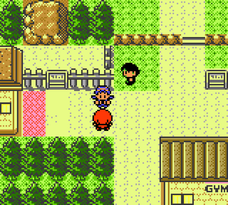 Rival interrupts you before entering Ilex Forest / Pokémon Crystal