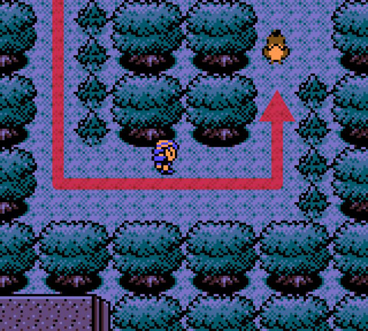 Approaching the missing Farfetch’d in Ilex Forest / Pokémon Crystal