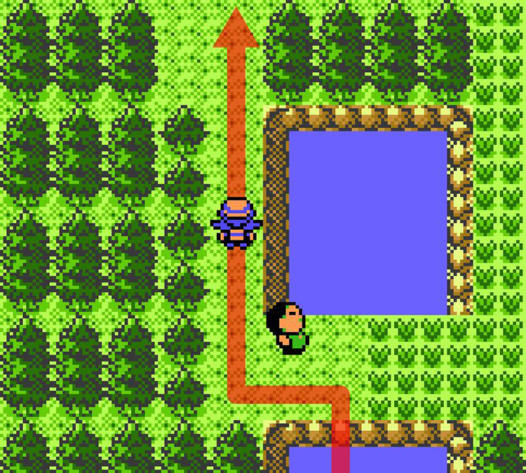 Last stretch of the river on Route 43 / Pokémon Crystal