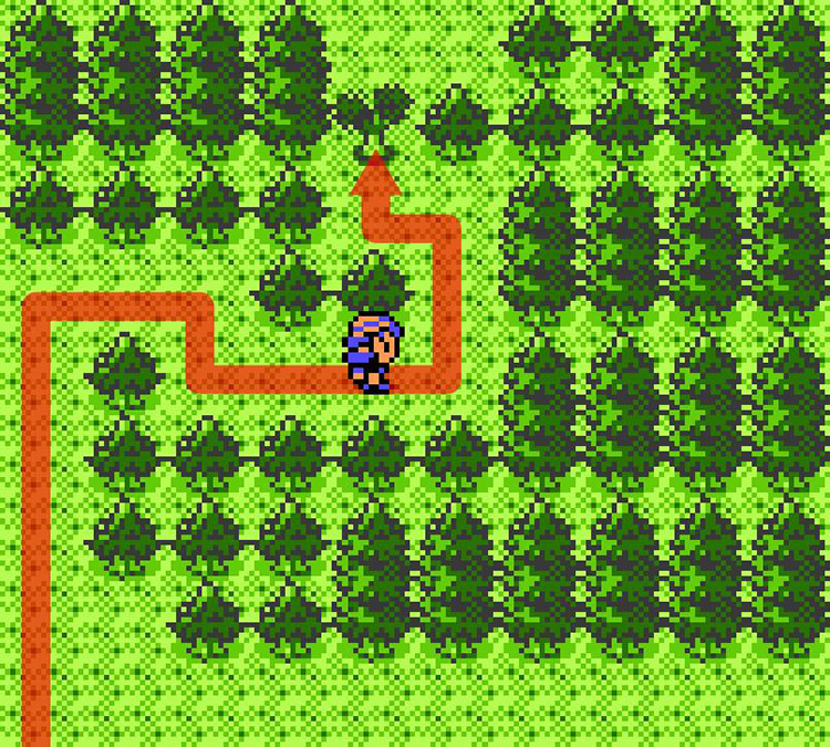 First tree on the way to the cabin in the woods where TM10 is located / Pokémon Crystal