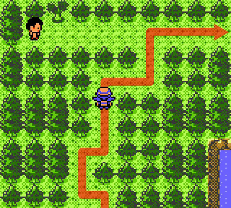 Going deeper into the forest behind the Lake of Rage / Pokémon Crystal