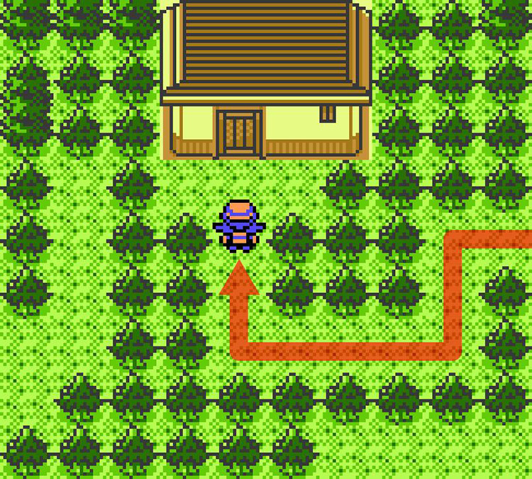 Cabin in the woods behind the Lake of Rage / Pokémon Crystal