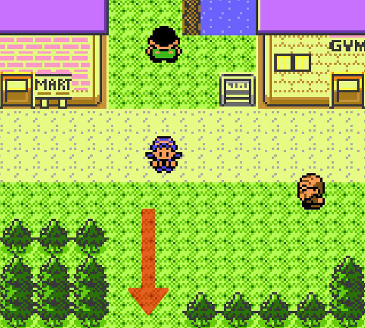 The way to Route 32 from Violet City / Pokémon Crystal