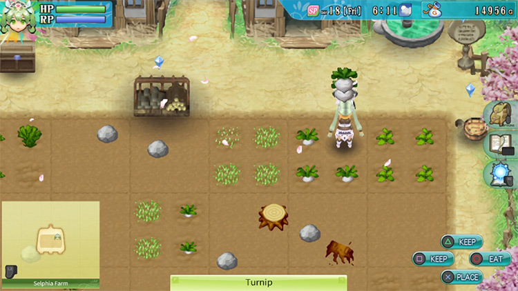 Turnips being harvested / Rune Factory 4