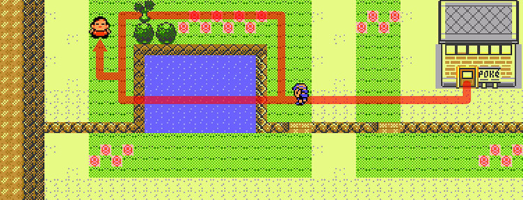 Route to the sleeping man in Viridian City / Pokémon Crystal