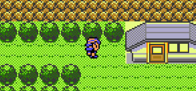 Outside the cabin with the Steel Wing TM (Pokémon Crystal)